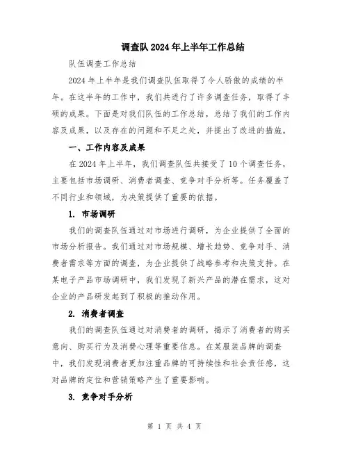 调查队2024年上半年工作总结