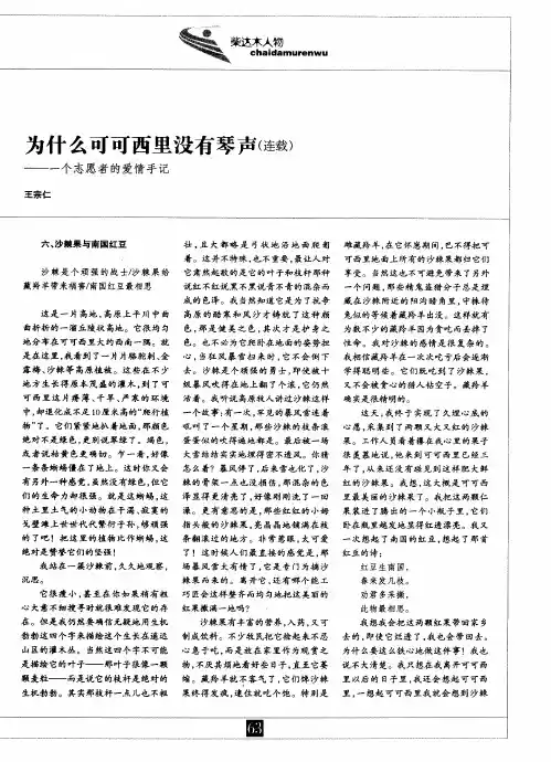 为什么可可西里没有琴声(连载)——一个志愿者的爱情手记