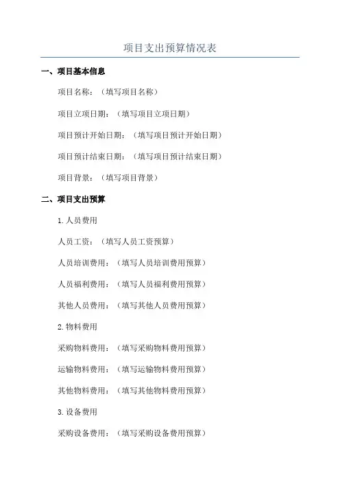 项目支出预算情况表