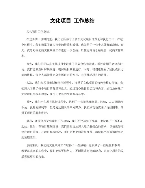 文化项目 工作总结