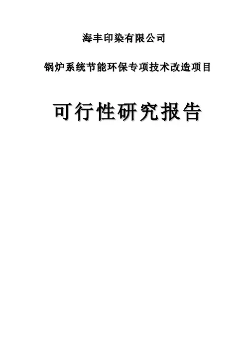 锅炉系统节能环保专项技术改造项目可行性研究报告