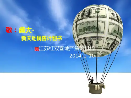 新天地销售计划书