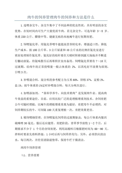 肉牛的饲养管理肉牛的饲养和方法是什么