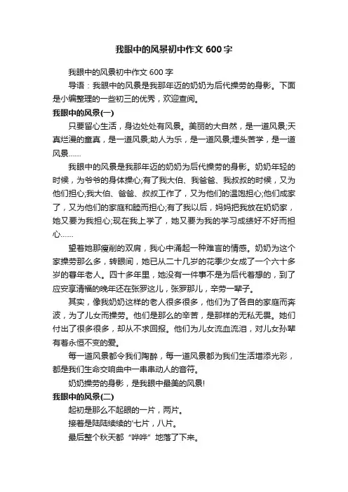 我眼中的风景初中作文600字