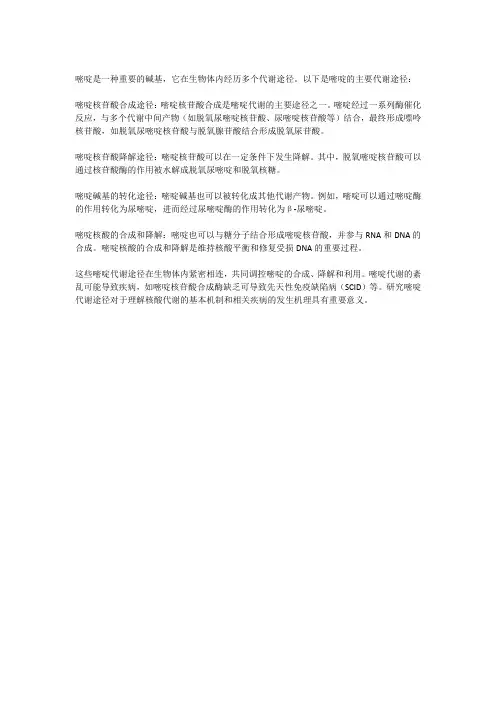 嘧啶代谢途径
