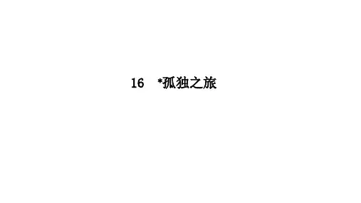 孤独之旅PPT习题课件