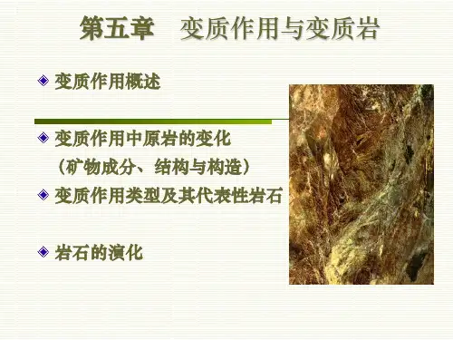 第五章 变质岩(2011)