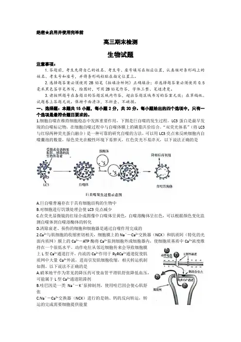 山东省济南市2022-2023学年高三上学期期末考试生物试题 附答案