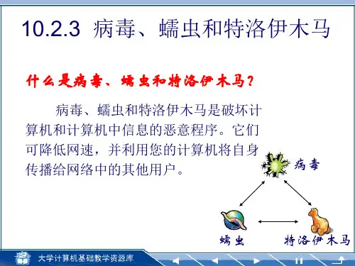病毒、蠕虫和特洛伊木马ppt