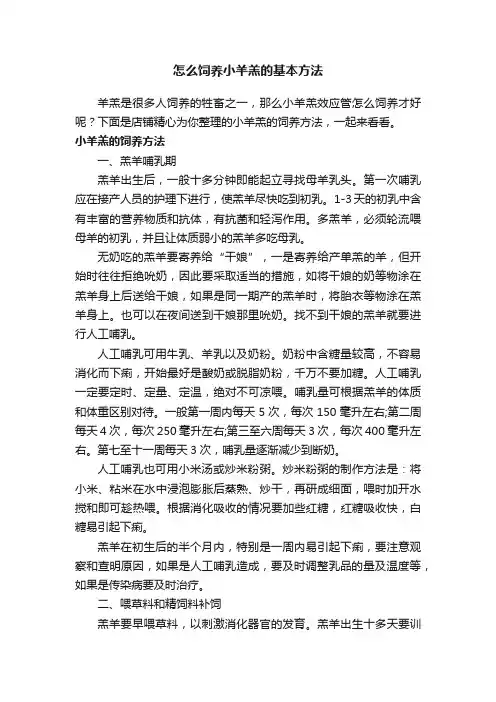 怎么饲养小羊羔的基本方法