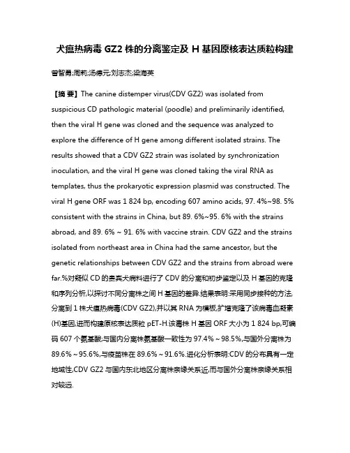 犬瘟热病毒GZ2株的分离鉴定及 H 基因原核表达质粒构建