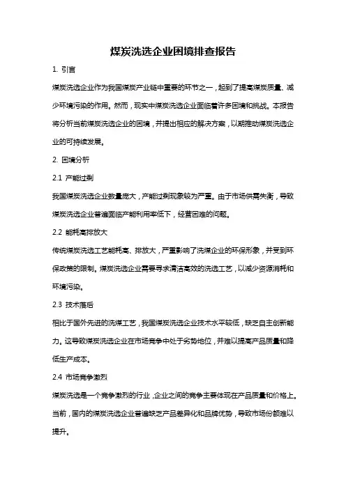 煤炭洗选企业困境排查报告