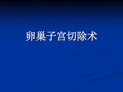 母犬卵巢子宫摘除术.