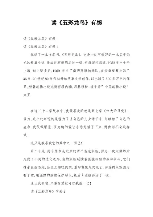 读《五彩龙鸟》有感