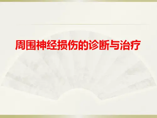 神经损伤PPT课件