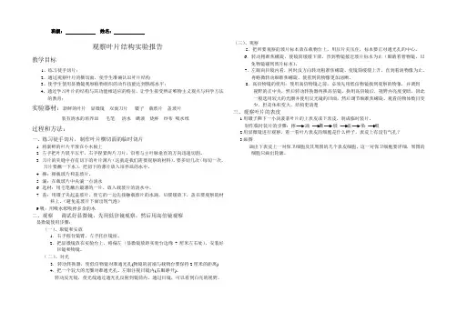 观察叶片结构实验报告(精品)