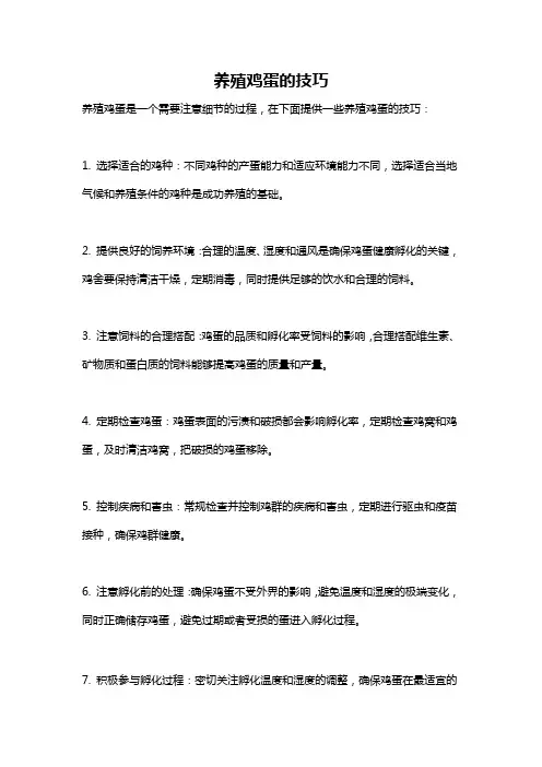 养殖鸡蛋的技巧