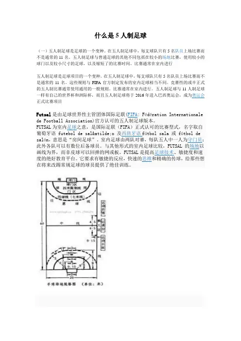 什么是5人制足球