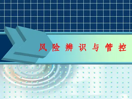 安全生产风险辨识与管控ppt课件
