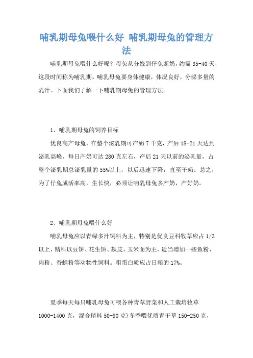 哺乳期母兔喂什么好 哺乳期母兔的管理方法