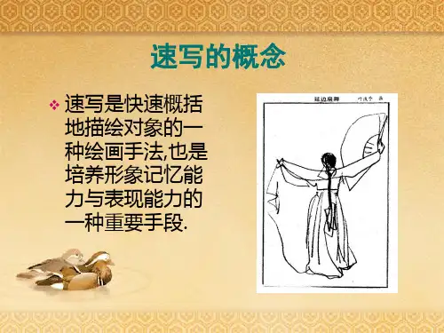 学画速写七年级上册ppt课件