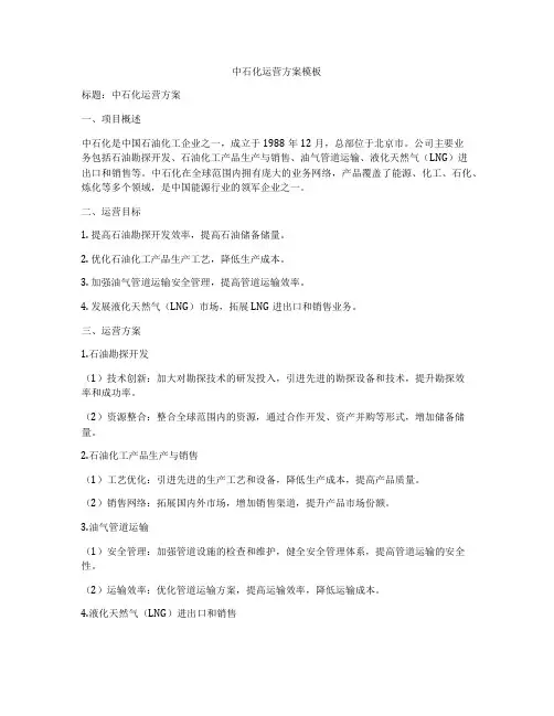 中石化运营方案模板