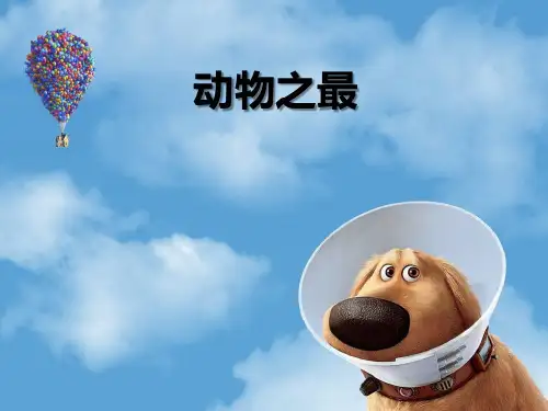 动物之最