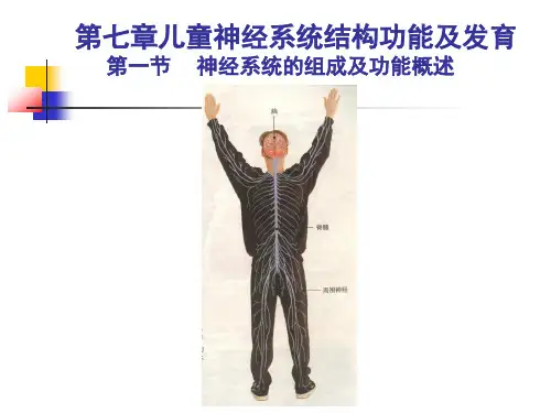 第七章儿童神经系统结构功能及发育(1和2)