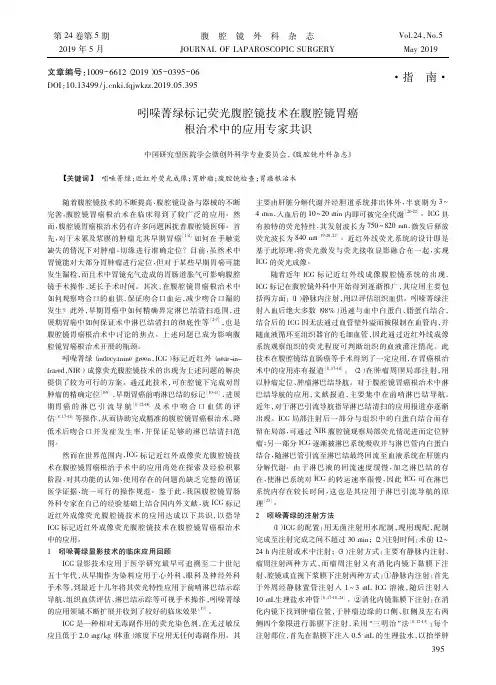 吲哚菁绿标记荧光腹腔镜技术在腹腔镜胃癌根治术中的应用专家共识