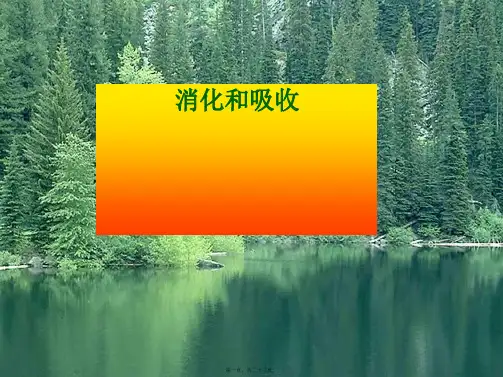 七年级生物《消化和吸收》课件 