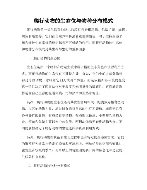 爬行动物的生态位与物种分布模式