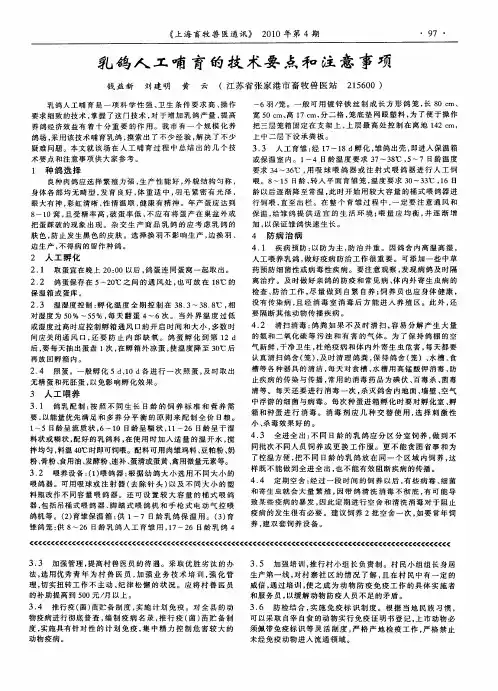 乳鸽人工哺育的技术要点和注意事项