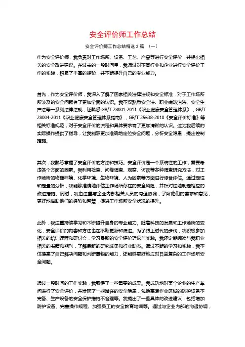 安全评价师工作总结2篇