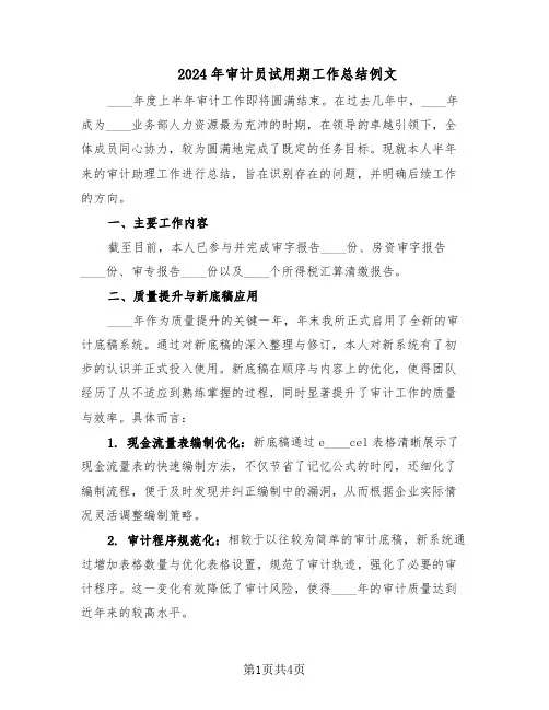 2024年审计员试用期工作总结例文（二篇）