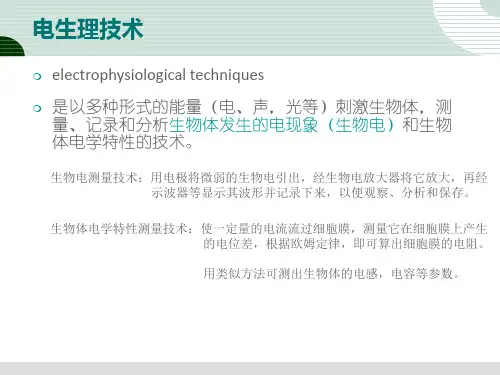 视觉电生理VEP--ERG