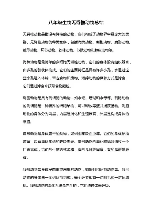 八年级生物无脊椎动物总结