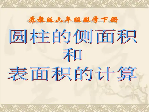 圆柱的侧面积和表面积计算[1]