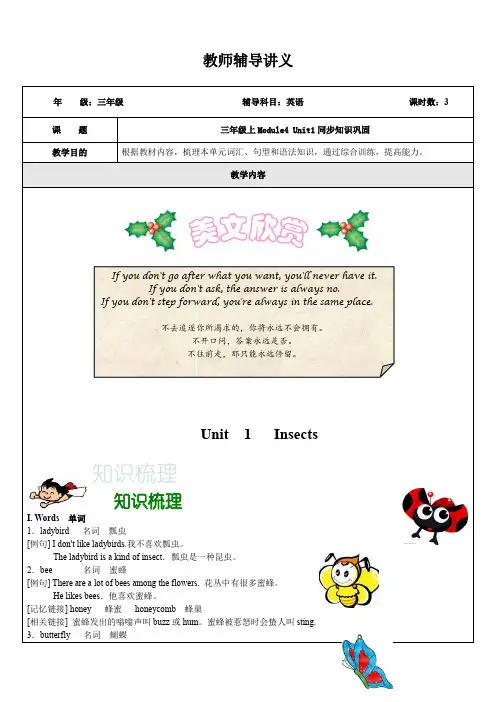 牛津版小三英语上(M4U1 Insects 同步知识梳理)