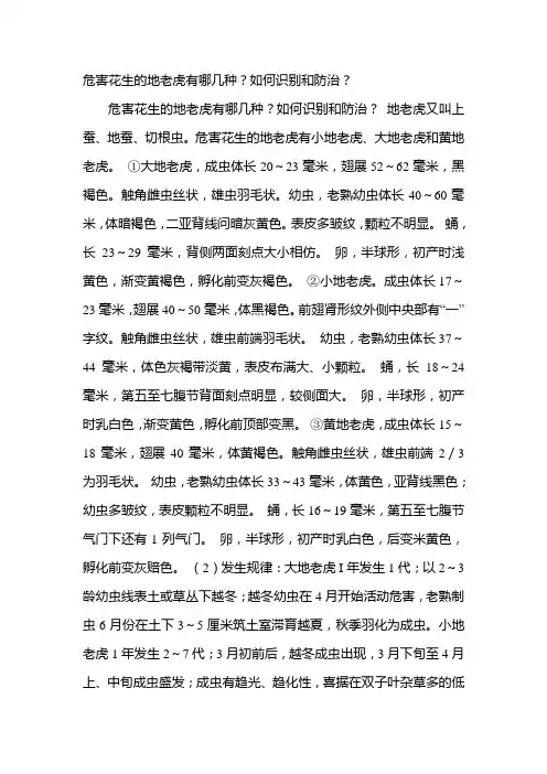 危害花生的地老虎有哪几种？如何识别和防治？