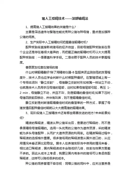 猪人工授精技术——深部输精法