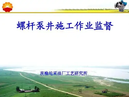 螺杆泵作业监督(新)