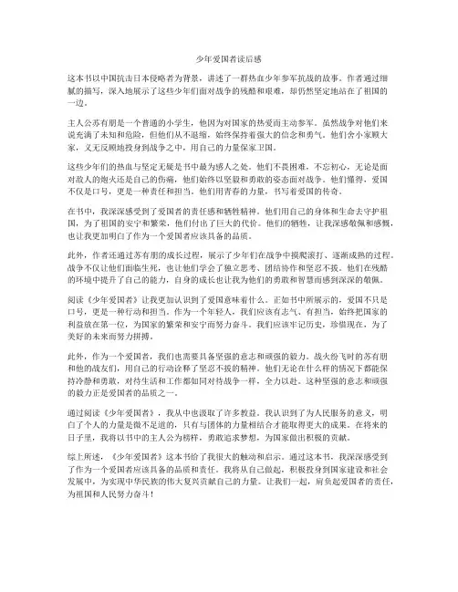 少年爱国者读后感