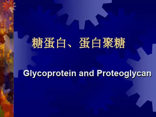 糖蛋白、蛋白聚糖