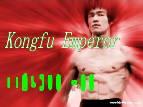 李小龙简介