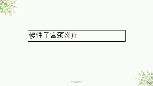 宫颈炎症课件
