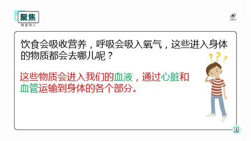 小学科学教科版五年级 4.3 心脏和血液 课件(共16张PPT).ppt