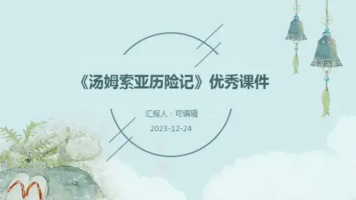 《汤姆索亚历险记》优秀课件PPT