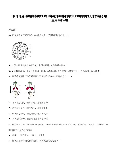 部编版初中生物七年级下册第四单元生物圈中的人带答案总结(重点)超详细