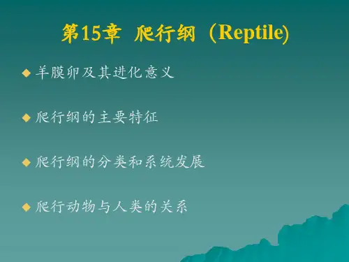 动物学课件：爬行纲