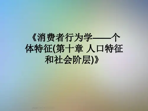 《消费者行为学——个体特征(第十章-人口特征和社会阶层)》